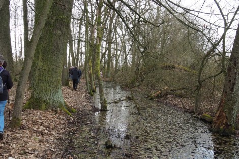 Procházka kolem Broumaru