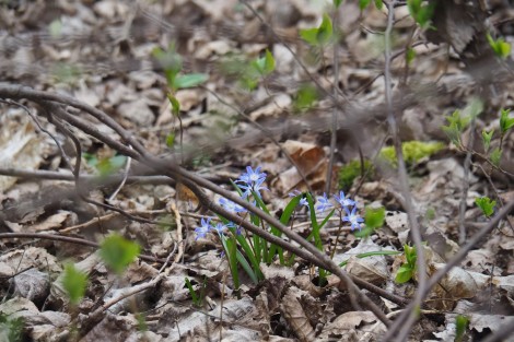 Procházka kolem Broumaru