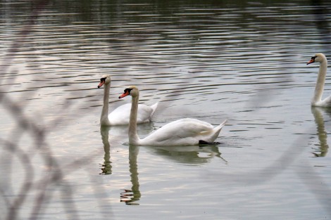 Procházka kolem Broumaru