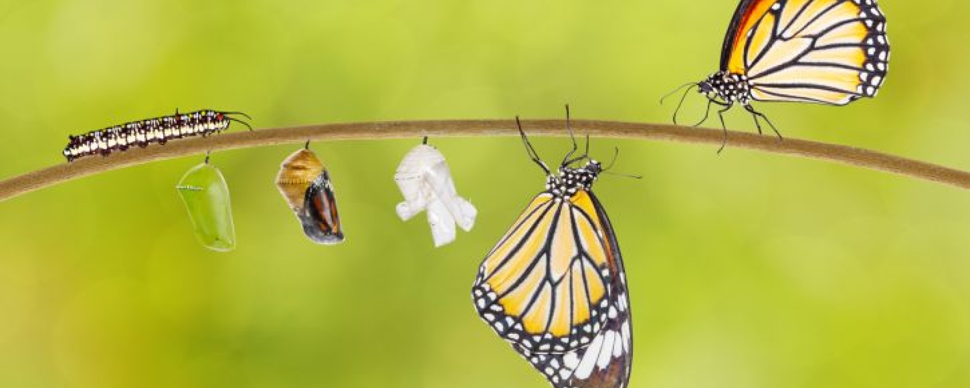 Evangelium je o proměně