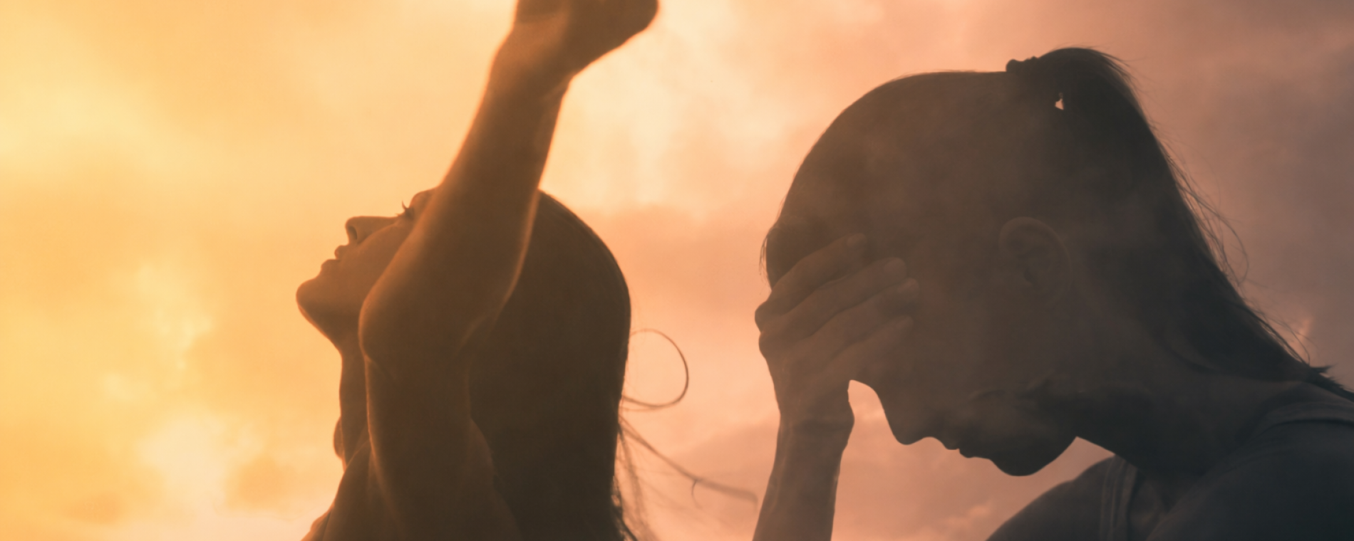 Misie - Radost nebo trápení?