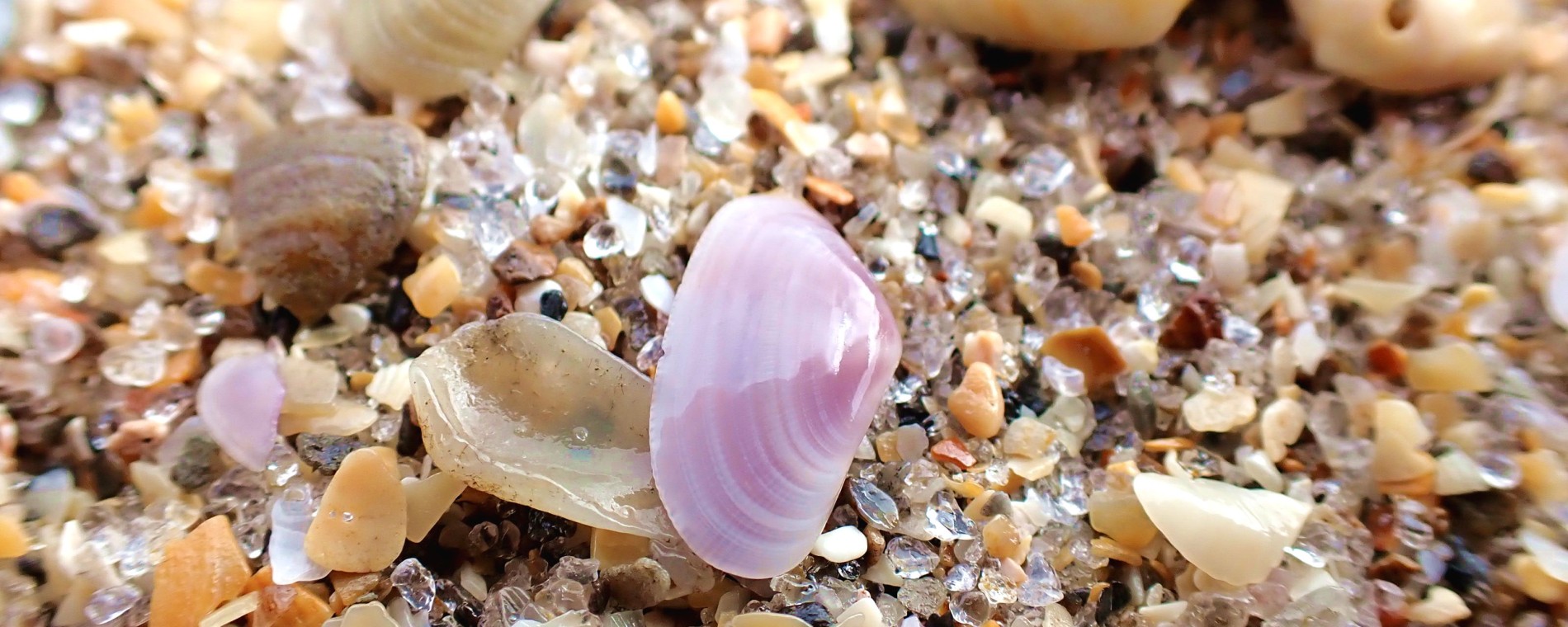 Oceán zpívá Jeho slávu.